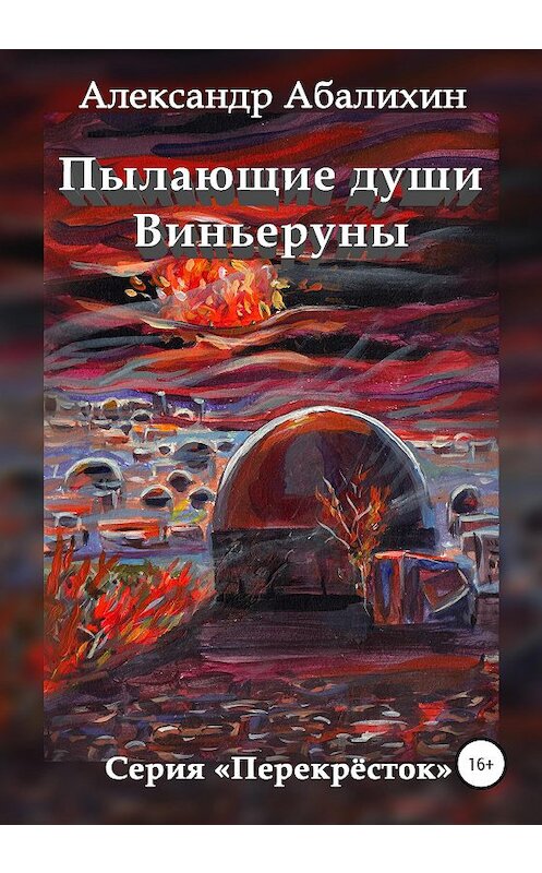 Обложка книги «Пылающие души Виньеруны» автора Александра Абалихина издание 2020 года.