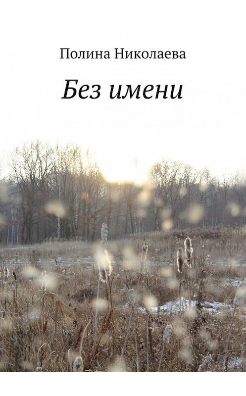 Обложка книги «Без имени» автора Полиной Николаевы. ISBN 9785447404673.