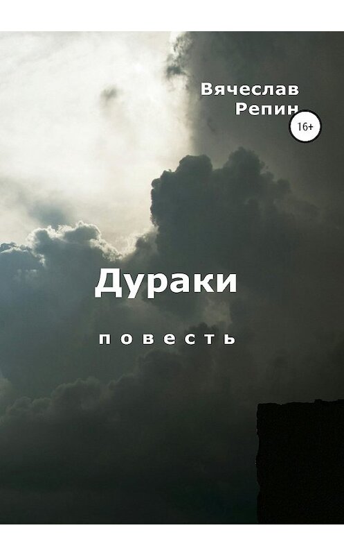 Обложка книги «Дураки» автора Вячеслава Репина издание 2020 года. ISBN 9785532080560.