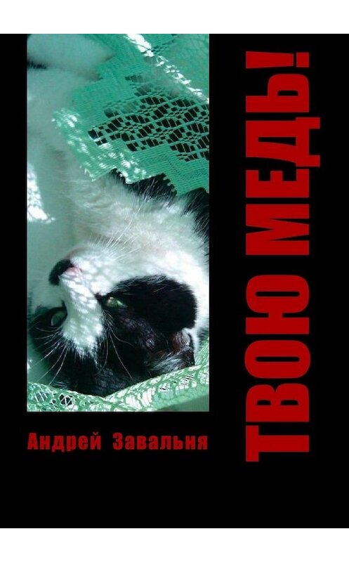 Обложка книги «Твою медь!» автора Андрей Завальни. ISBN 9785449882349.
