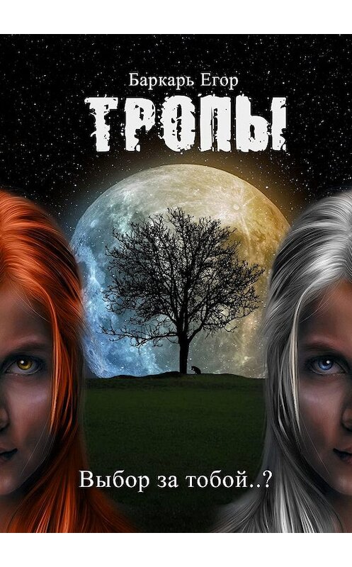 Обложка книги «Тропы. Выбор за тобой..?» автора Егора Баркаря. ISBN 9785448510243.