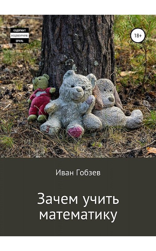 Обложка книги «Зачем учить математику» автора Ивана Гобзева издание 2019 года.