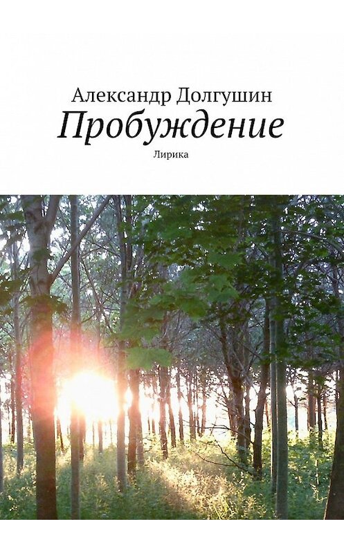 Обложка книги «Пробуждение» автора Александра Долгушина. ISBN 9785447452780.