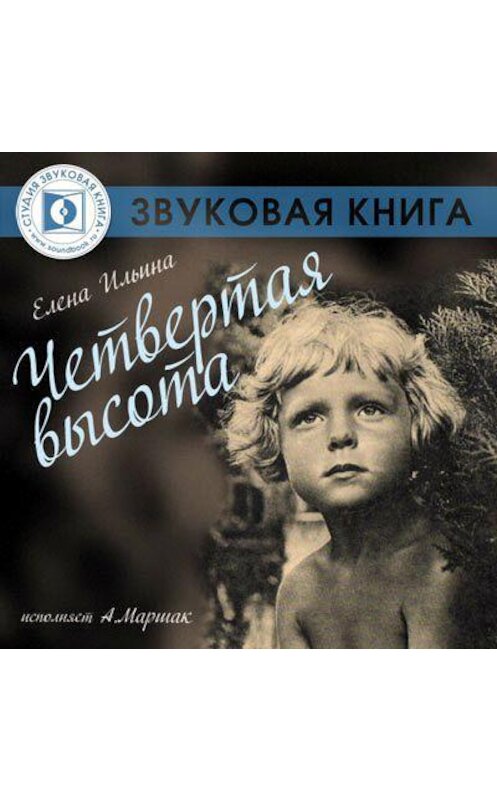Обложка аудиокниги «Четвертая высота» автора Елены Ильины.