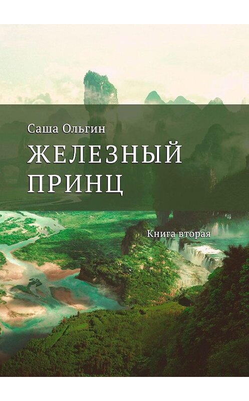 Обложка книги «Железный принц. Книга вторая» автора Саши Ольгина. ISBN 9785449333209.