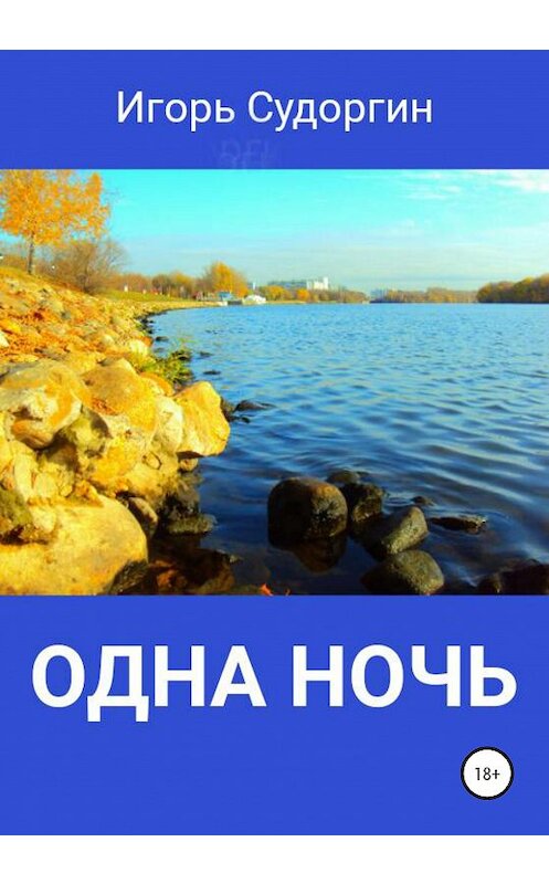 Обложка книги «Одна ночь» автора Игоря Судоргина издание 2020 года.