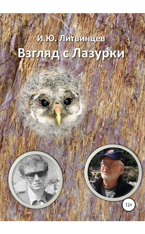 Обложка книги «Взгляд с Лазурки» автора Игоря Литвинцева издание 2021 года.