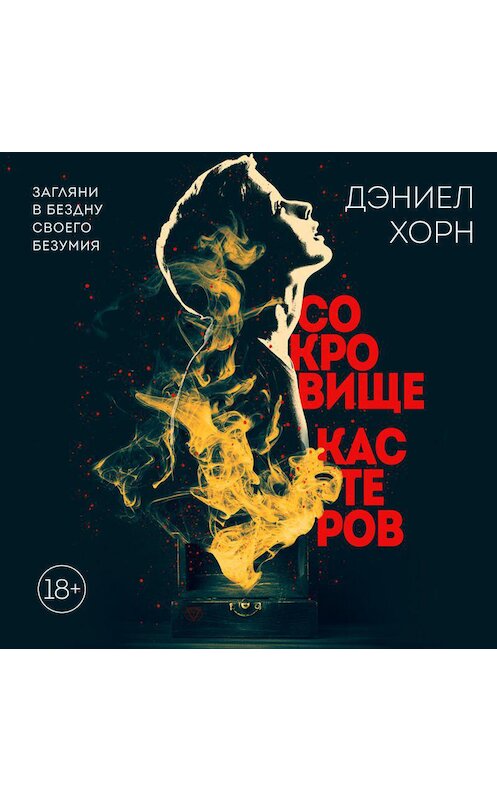Обложка аудиокниги «Сокровище Кастеров» автора Дэниела Хорна.