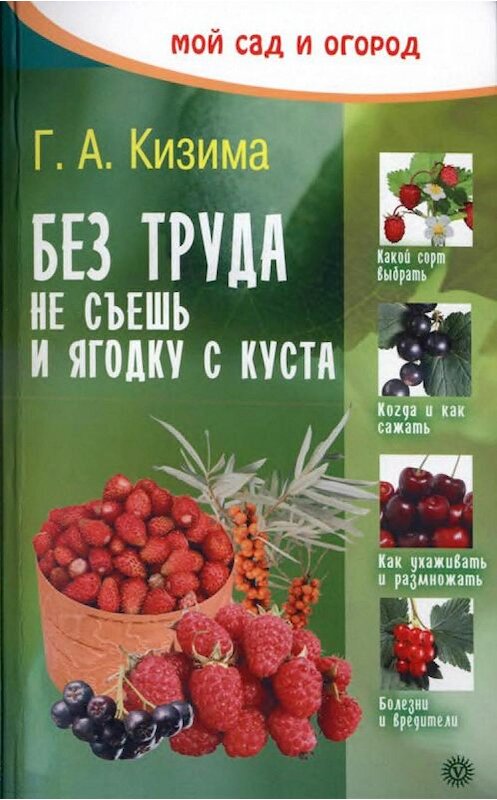 Обложка книги «Без труда не съешь и ягодку с куста» автора Галиной Кизимы издание 2007 года. ISBN 5968403829.