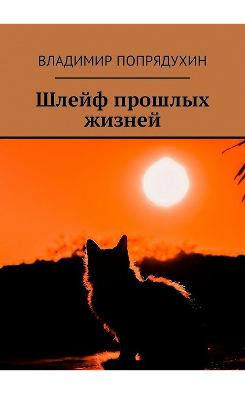 Обложка книги «Шлейф прошлых жизней» автора Владимира Попрядухина. ISBN 9785449021328.