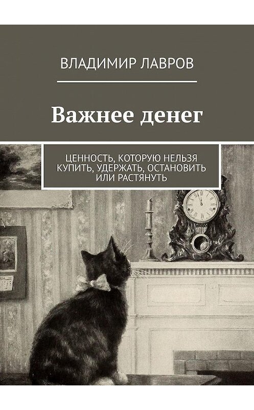 Обложка книги «Важнее денег. Ценность, которую нельзя купить, удержать, остановить или растянуть» автора Владимира Лаврова. ISBN 9785449899477.