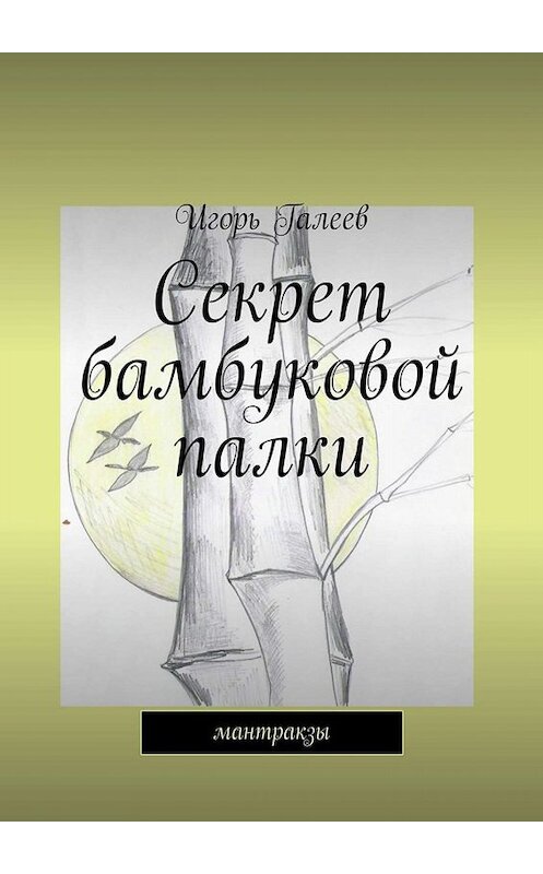 Обложка книги «Секрет бамбуковой палки. мантракзы» автора Игоря Галеева. ISBN 9785449696137.