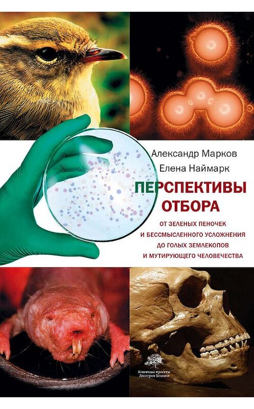 Обложка книги «Перспективы отбора» автора  издание 2019 года. ISBN 9785171141158.