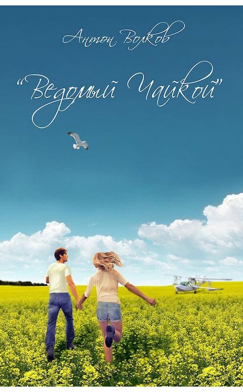 Обложка книги «Ведомый чайкой» автора Антона Волкова издание 2013 года.