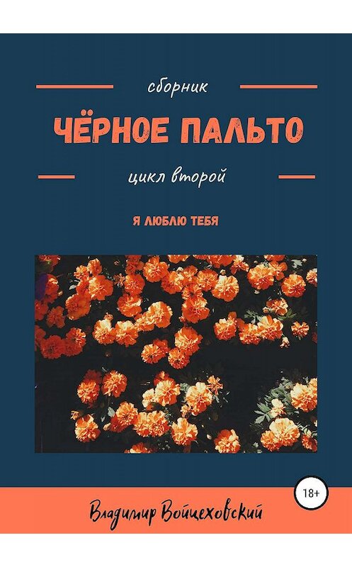 Обложка книги «Чёрное пальто. Я люблю тебя. Сборник стихотворений. Цикл второй» автора Владимира Смирнова издание 2019 года.