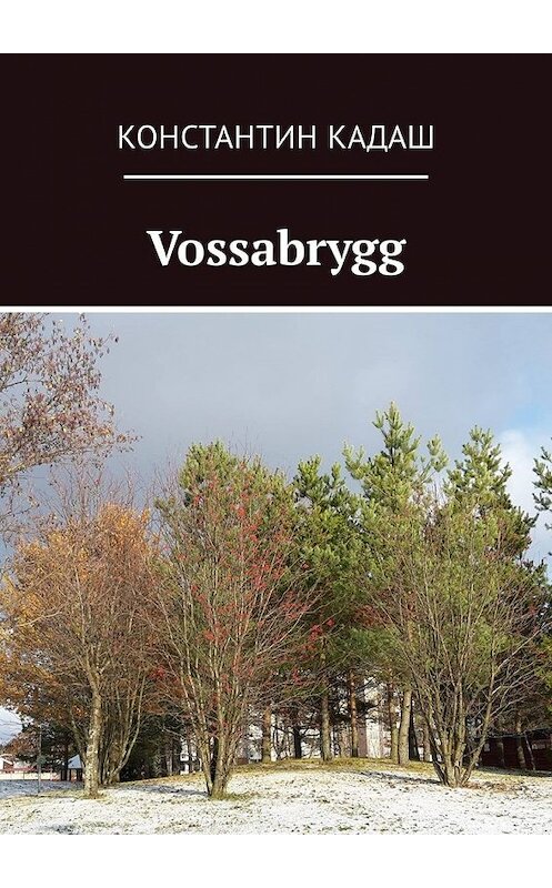 Обложка книги «Vossabrygg» автора Константина Кадаша. ISBN 9785449315328.