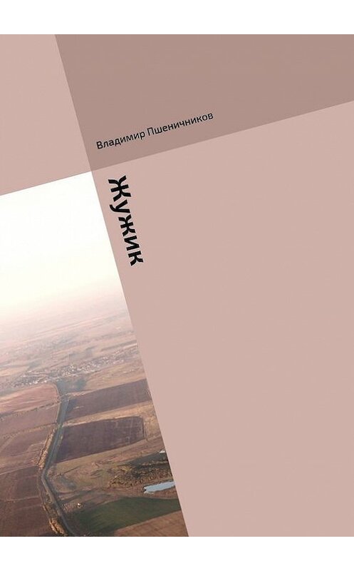 Обложка книги «Жужик. Сборник журнальной прозы» автора Владимира Пшеничникова. ISBN 9785447436551.