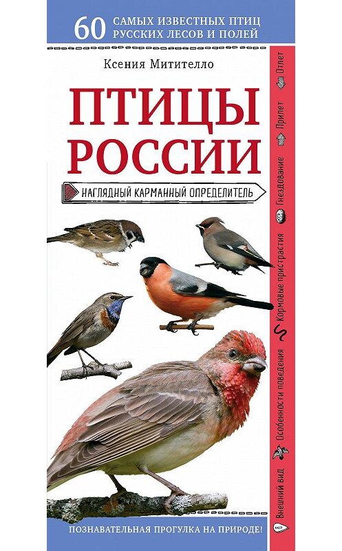 Обложка книги «Птицы России. Наглядный карманный определитель» автора Ксении Митителло издание 2018 года. ISBN 9785040935550.