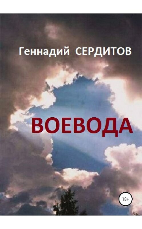 Обложка книги «Воевода» автора Геннадия Сердитова издание 2019 года.