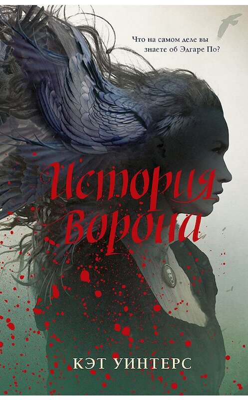 Обложка книги «История ворона» автора Кэта Уинтерса издание 2019 года. ISBN 9785041046859.