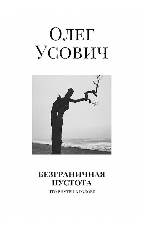 Обложка книги «Безграничная пустота. Что внутри в голове» автора Олега Усовича. ISBN 9785448535307.