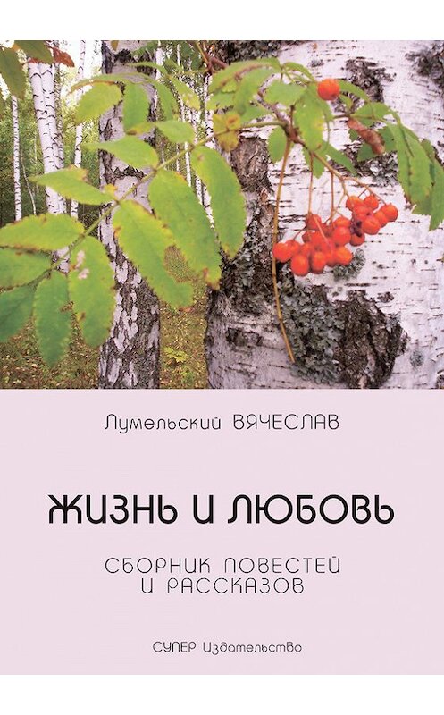 Обложка книги «Жизнь и любовь (сборник)» автора Вячеслава Лумельския издание 2017 года. ISBN 9785990961029.