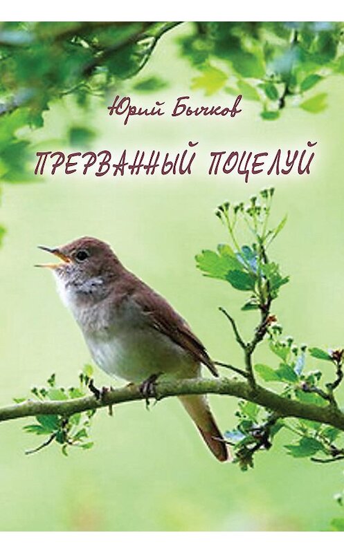 Обложка книги «Прерванный поцелуй» автора Юрия Бычкова издание 2013 года. ISBN 785986043814.