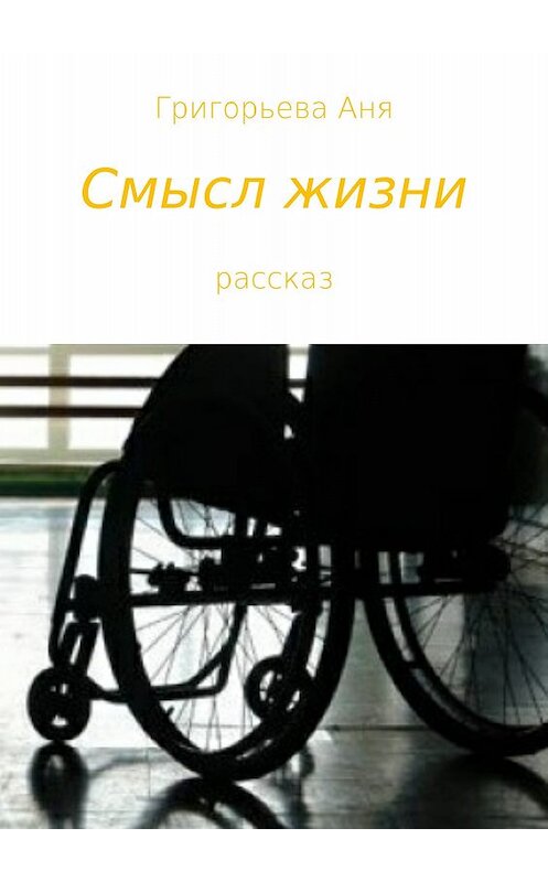 Обложка книги «Смысл жизни» автора Ани Григорьевы издание 2017 года.