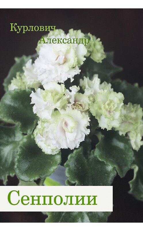 Обложка книги «Сенполии» автора Александра Курловича. ISBN 594107039x.