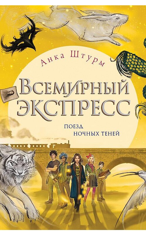 Обложка книги «Всемирный экспресс. Поезд ночных теней» автора Анки Штурма издание 2020 года. ISBN 9785040993413.