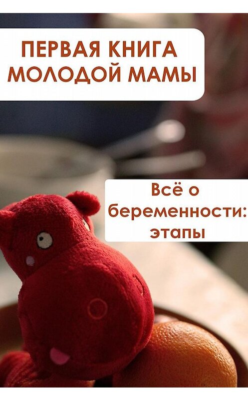Обложка книги «Всё о беременности: этапы» автора Ильи Мельникова.