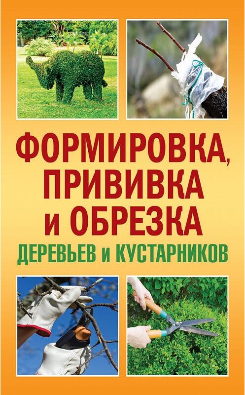 Обложка книги «Формировка, прививка и обрезка деревьев и кустарников» автора Сергея Макеева издание 2013 года. ISBN 9785386053420.