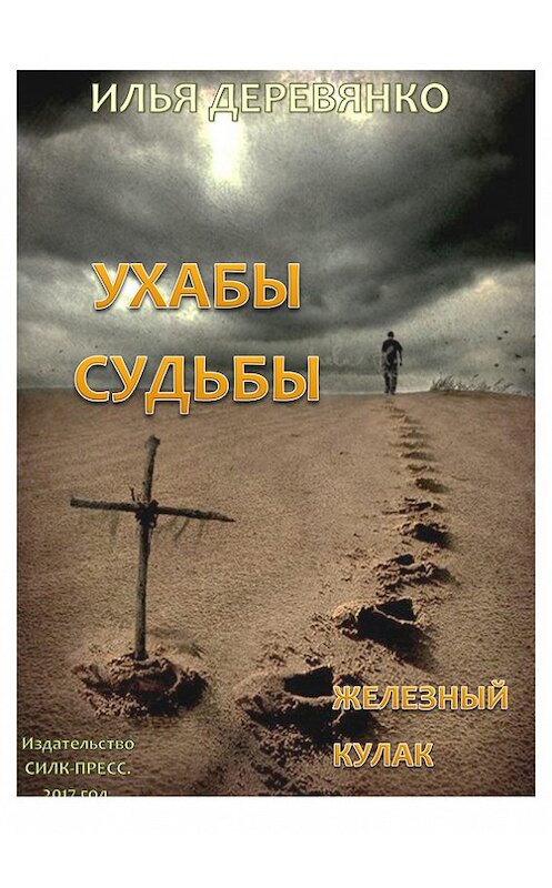 Обложка книги «Железный кулак» автора Ильи Деревянко.