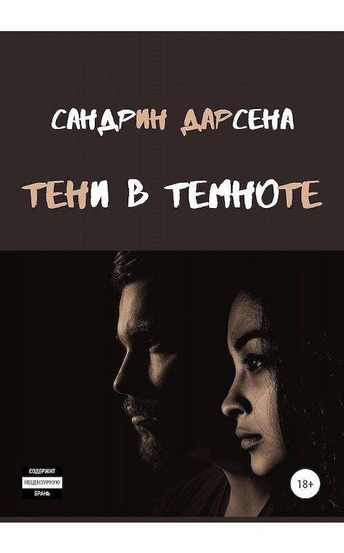 Обложка книги «Тени в темноте» автора Сандрина Дарсены издание 2020 года.