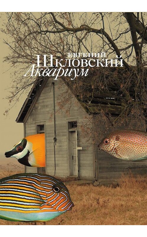 Обложка книги «Аквариум (сборник)» автора Евгеного Шкловския издание 2016 года. ISBN 9785444804315.