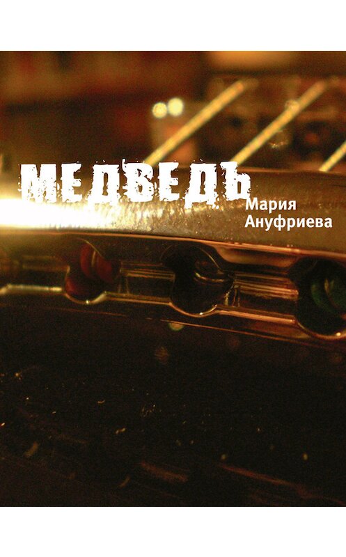 Обложка книги «Медведь» автора Марии Ануфриевы издание 2012 года. ISBN 9785969108868.