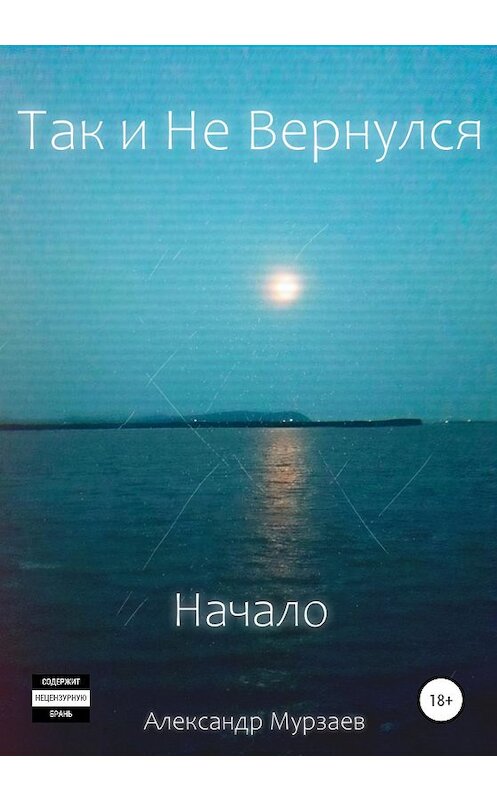 Обложка книги «Так и Не Вернулся. Начало» автора Александра Мурзаева издание 2020 года.