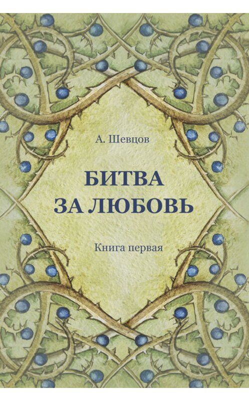 Обложка книги «Битва за Любовь. Книга первая» автора Александра Шевцова издание 2017 года. ISBN 9785990996731.
