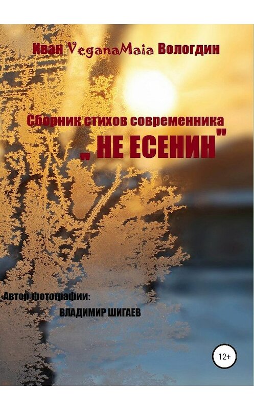 Обложка книги «Не Есенин» автора Ивана Вологдина издание 2019 года. ISBN 9785532096028.