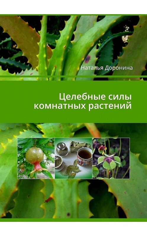 Обложка книги «Целебные силы комнатных растений» автора Натальи Доронины. ISBN 9785449649201.