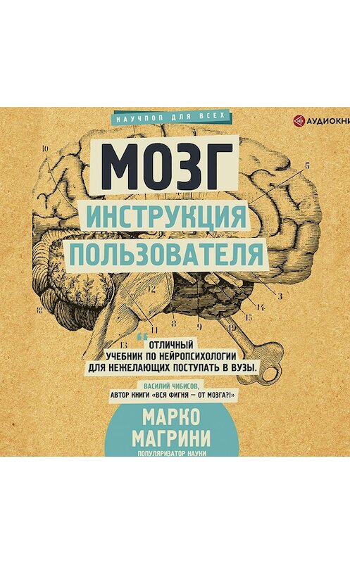 Обложка аудиокниги «Мозг. Инструкция пользователя» автора Марко Магрини.