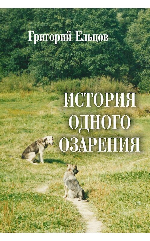 Обложка книги «История одного озарения» автора Григория Ельцова издание 2018 года. ISBN 9785988623823.