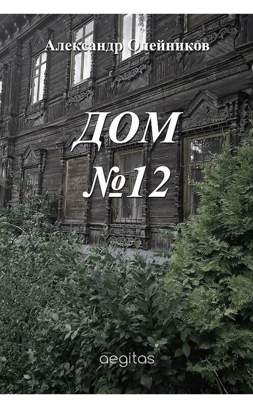Обложка книги «Дом №12» автора Александра Олейникова издание 2018 года. ISBN 9781773139852.