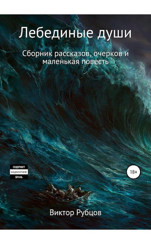 Обложка книги «Лебединые души. Сборник рассказов и маленькая повесть» автора Виктора Рубцова издание 2019 года.