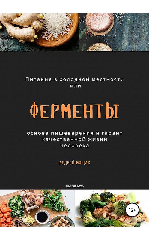 Обложка книги «Ферменты как основа пищеварения и гарант качественной жизни человека. Питание в холодной местности» автора Андрея Мищака издание 2020 года.