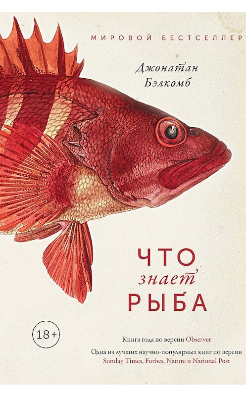 Обложка книги «Что знает рыба» автора Джонатана Бэлкомба издание 2019 года. ISBN 9785389168541.