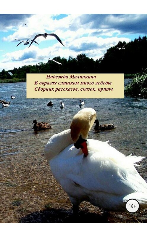 Обложка книги «В оврагах слишком много лебеды…» автора Надежды Малинкины издание 2018 года.