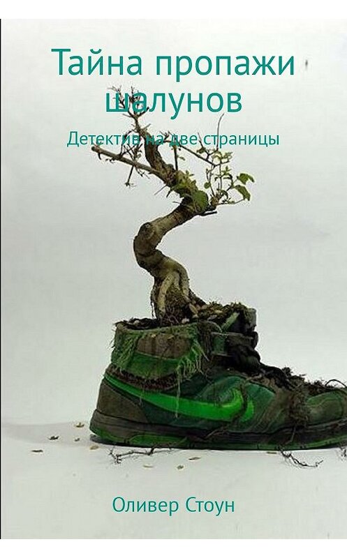 Обложка книги «Тайна пропажи шалунов» автора Оливера Стоуна.