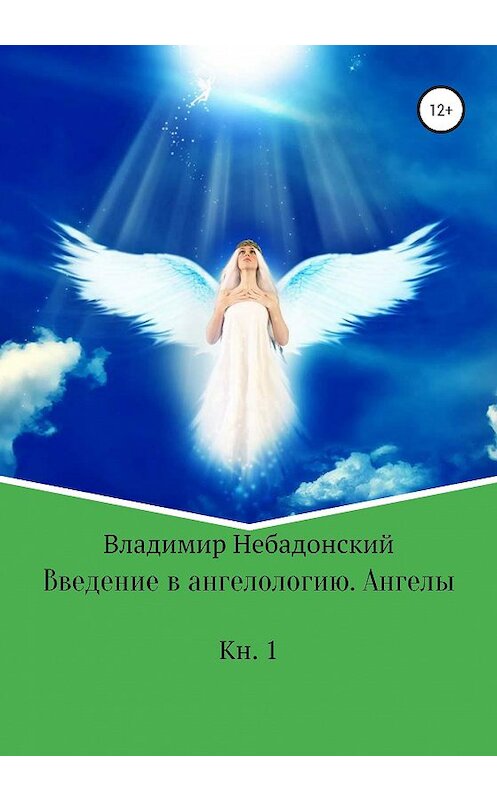 Обложка книги «Введение в ангелологию. Ангелы» автора Владимира Небадонския издание 2020 года.