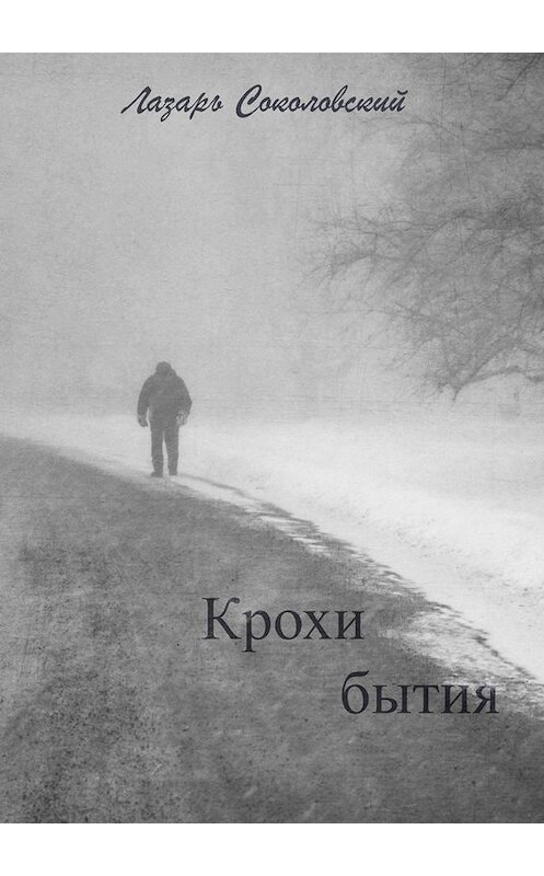 Обложка книги «Крохи бытия» автора Лазаря Соколовския. ISBN 9785449811738.
